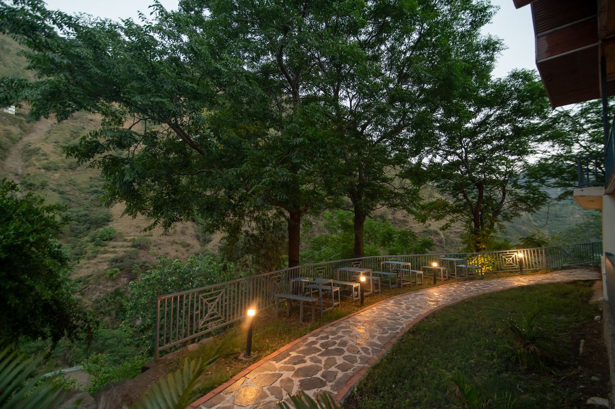 Outdoor seating area under ancient trees